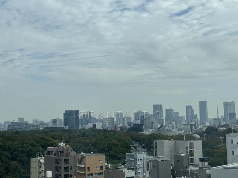 View from the master bedroom