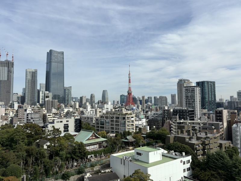 バルコニーからの眺望（東京タワーが望めます）